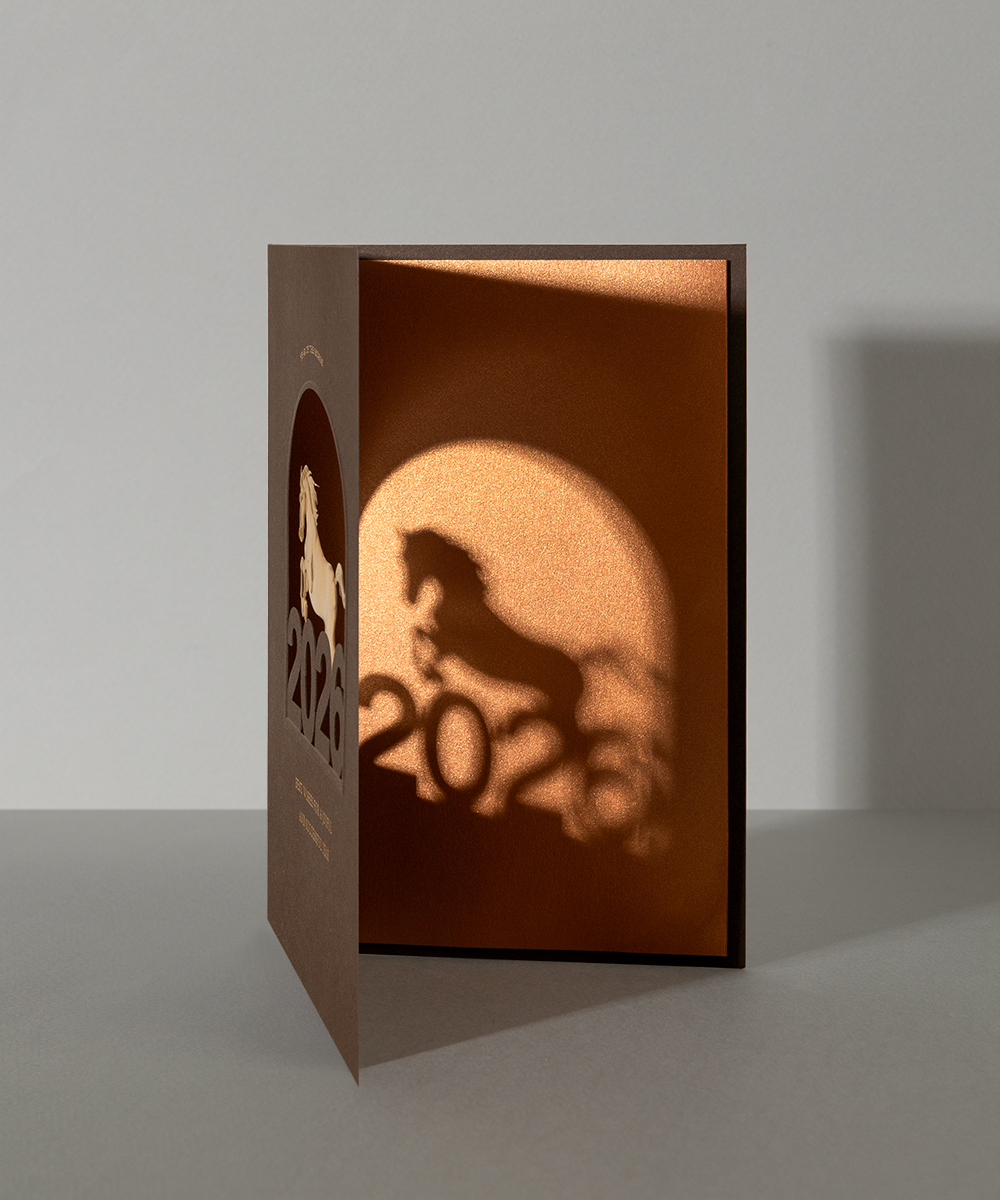  NB513 - ڱī ǰ  BOJAGICARD Product Photo NB513