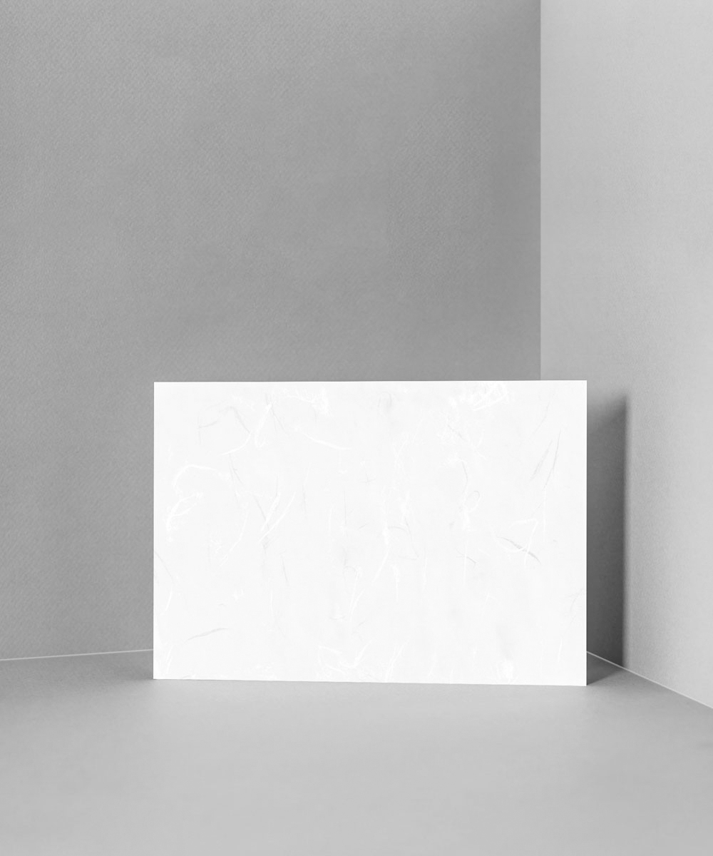 NB967 - ڱī ǰ  BOJAGICARD Product Photo NB967