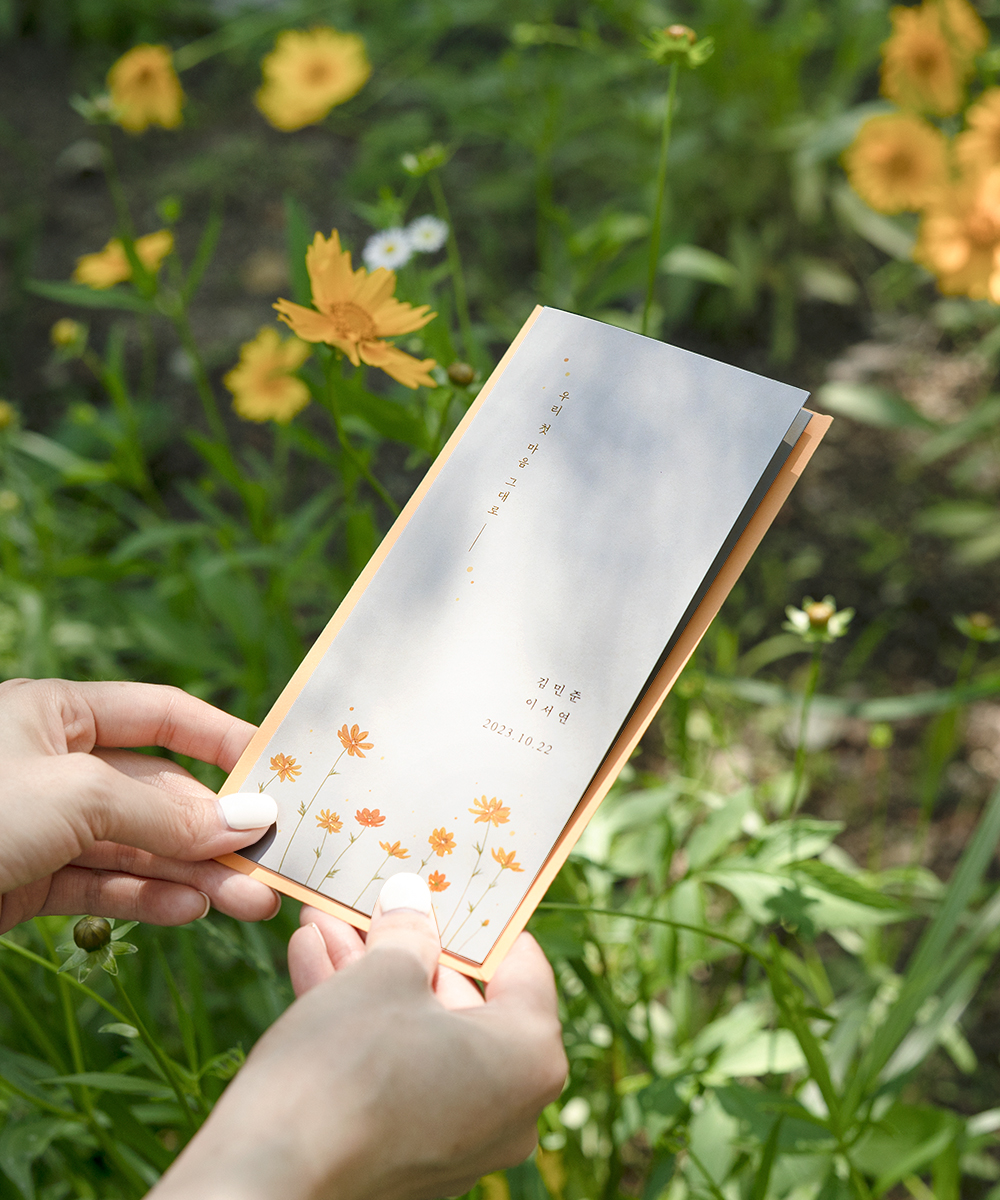 º¸ÀÚ±âÄ«µå ûøÀå BNIEL492 ûøÀå BNIEL492 - º¸ÀÚ±âÄ«µå »óǰ »çÁø BOJAGICARD Product Photo BNIEL492