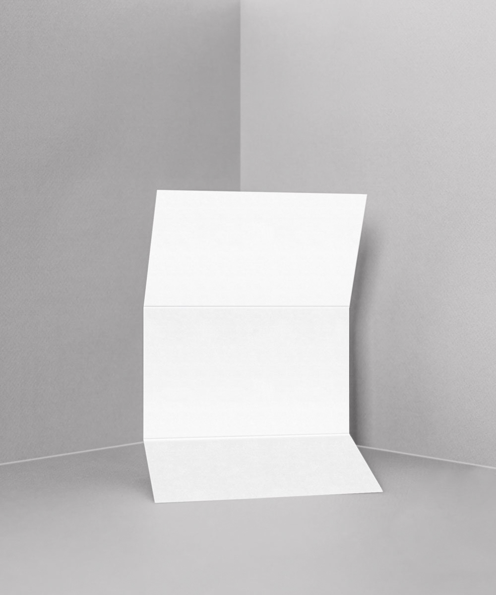 DIYī�� DIY C-����3�� ��Ͽ� 300g - ���ڱ�ī�� ��ǰ ���� BOJAGICARD Product Photo DIY C-����3�� ��Ͽ� 300g