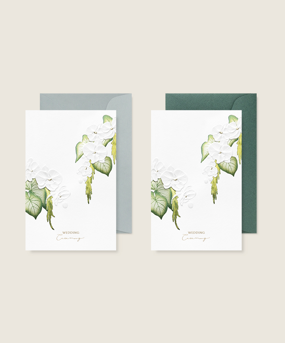 ûø OANNA1036 - ڱī ǰ  BOJAGICARD Product Photo OANNA1036