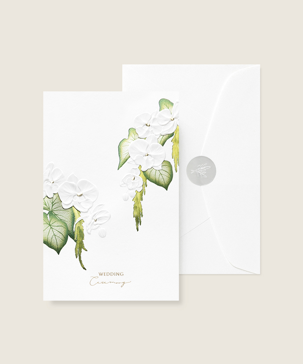 ûø OANNA1036 - ڱī ǰ  BOJAGICARD Product Photo OANNA1036