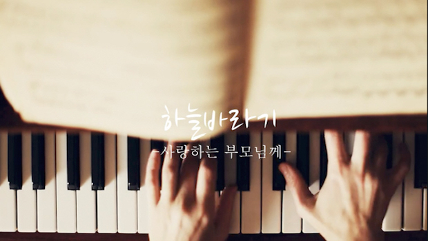 하늘바라기 상품 이미지