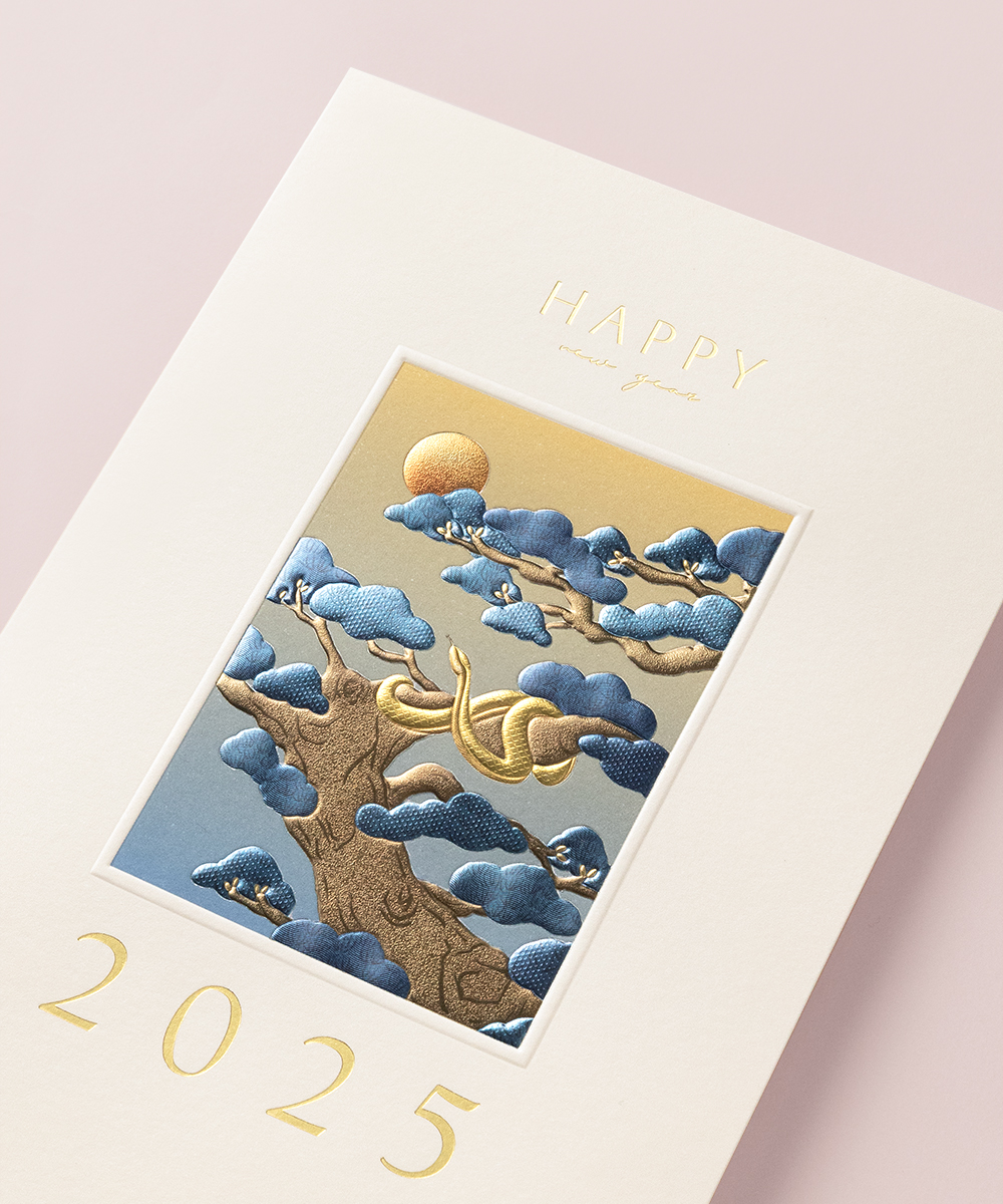  NB457 - ڱī ǰ  BOJAGICARD Product Photo NB457