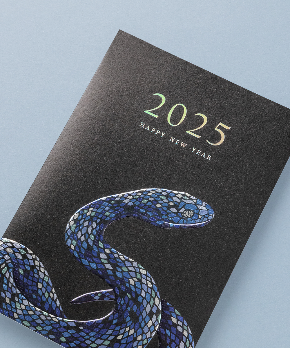  NB458 - ڱī ǰ  BOJAGICARD Product Photo NB458