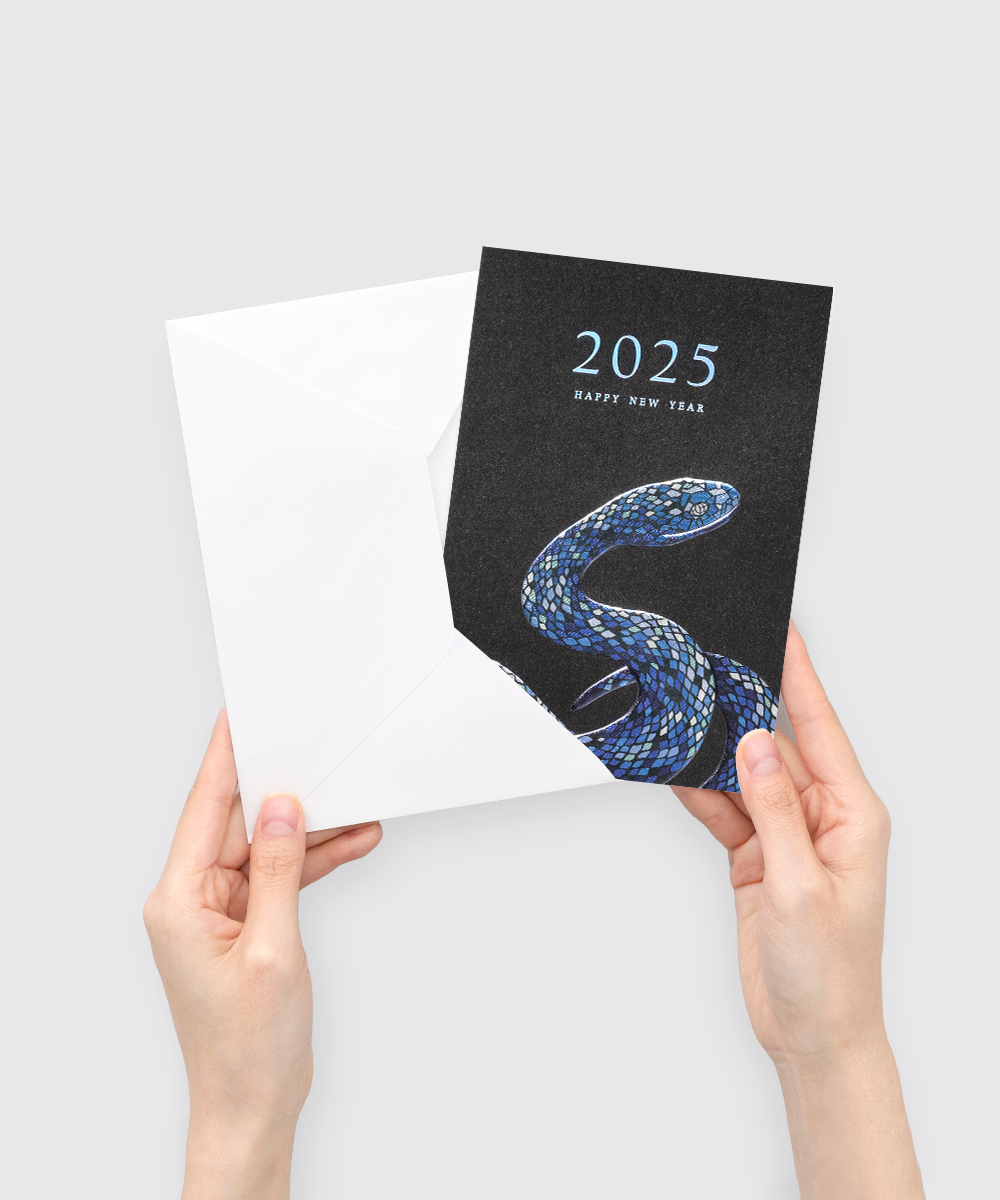  NB458 - ڱī ǰ  BOJAGICARD Product Photo NB458