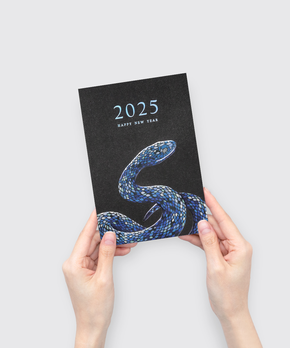  NB458 - ڱī ǰ  BOJAGICARD Product Photo NB458