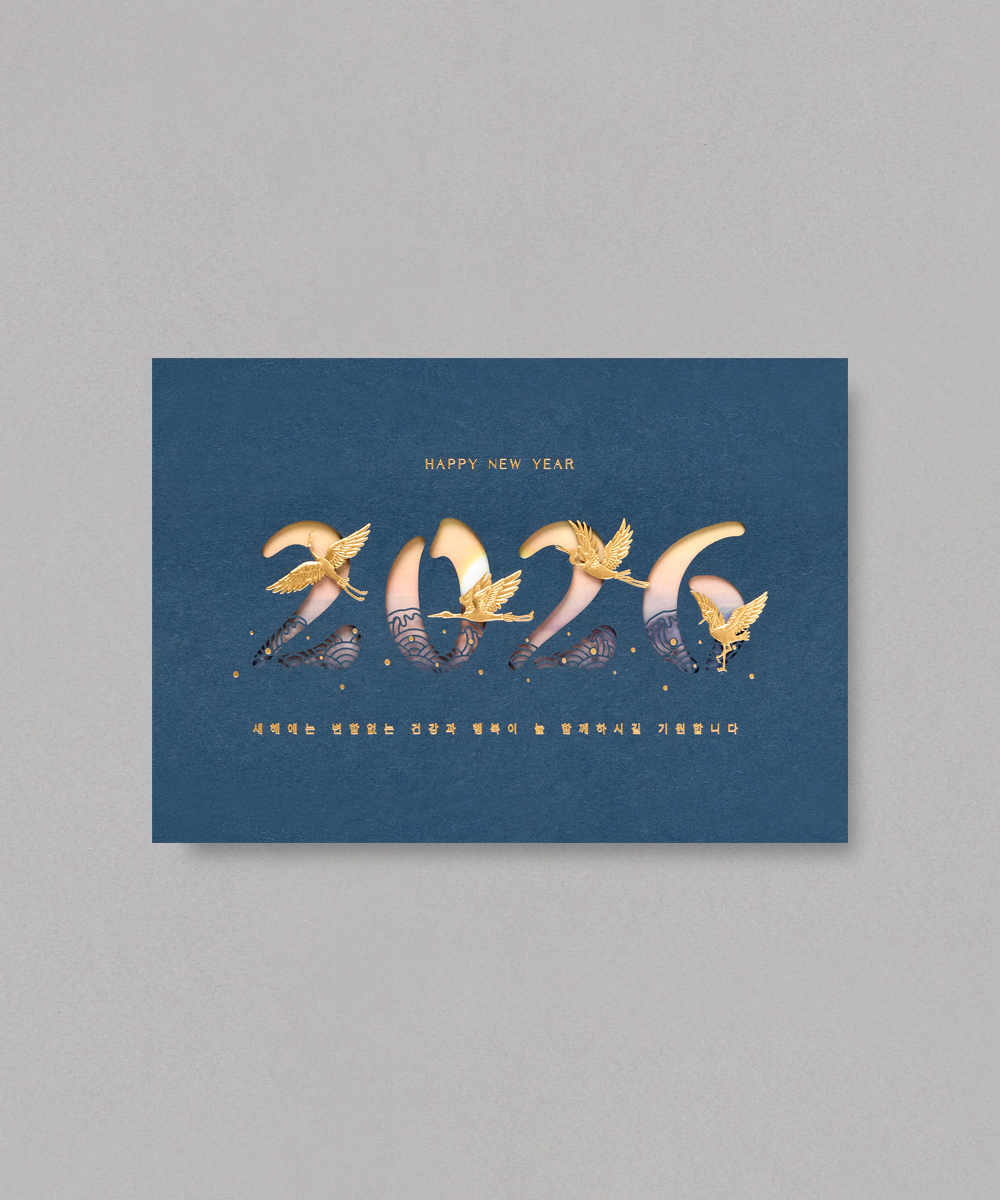 ������ NB620 - ���ڱ�ī�� ��ǰ ���� BOJAGICARD Product Photo NB620