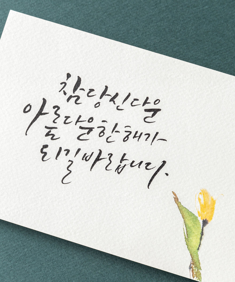 º¸ÀÚ±âÄ«µå ¿¬ÇÏÀå NB900 ¿¬ÇÏÀå NB900 - º¸ÀÚ±âÄ«µå »óǰ »çÁø BOJAGICARD Product Photo NB900