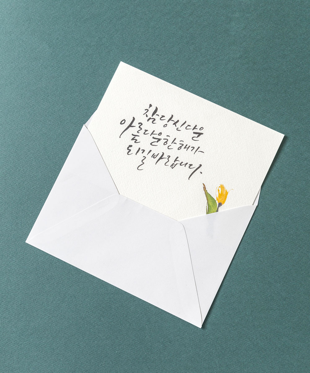 º¸ÀÚ±âÄ«µå ¿¬ÇÏÀå NB900 ¿¬ÇÏÀå NB900 - º¸ÀÚ±âÄ«µå »óǰ »çÁø BOJAGICARD Product Photo NB900