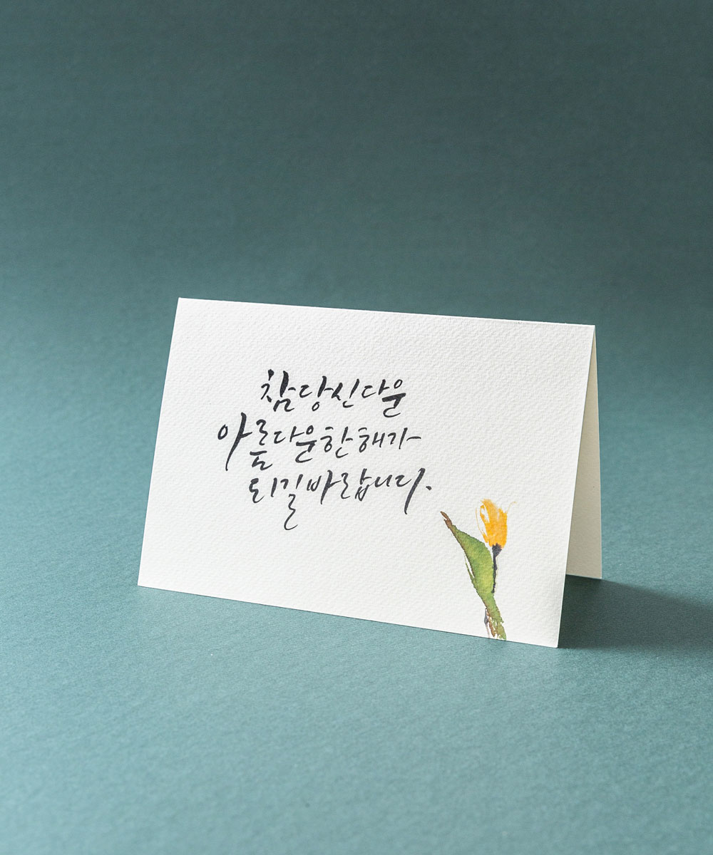 º¸ÀÚ±âÄ«µå ¿¬ÇÏÀå NB900 ¿¬ÇÏÀå NB900 - º¸ÀÚ±âÄ«µå »óǰ »çÁø BOJAGICARD Product Photo NB900