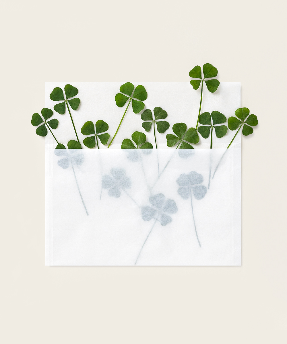   Ŭι   Ŭι - ڱī ǰ  BOJAGICARD Product Photo   Ŭι