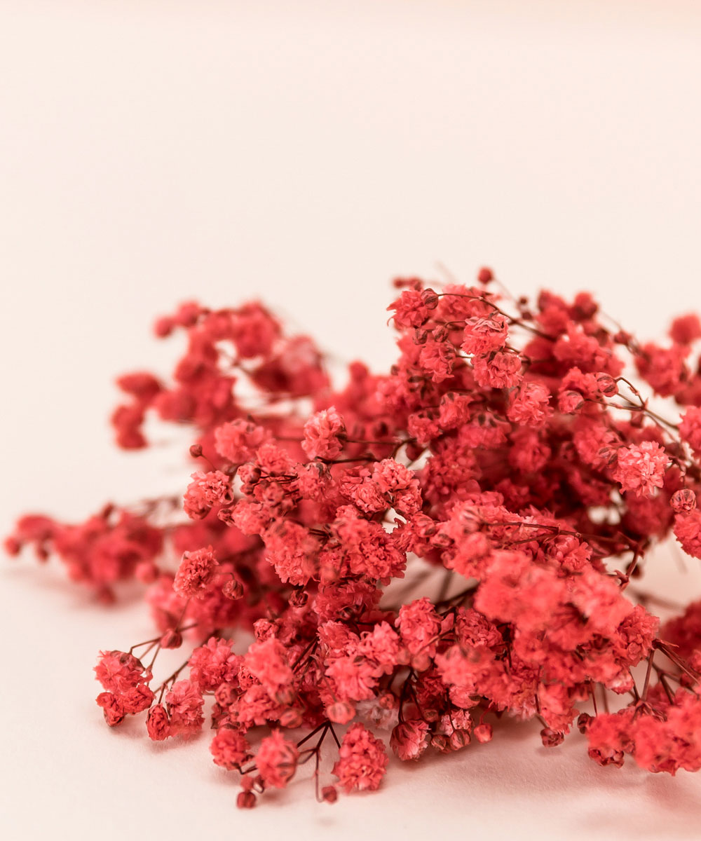 ��������� �ö�� �Ȱ��� ���� - ���ڱ�ī�� ��ǰ ���� BOJAGICARD Product Photo �Ȱ��� ����