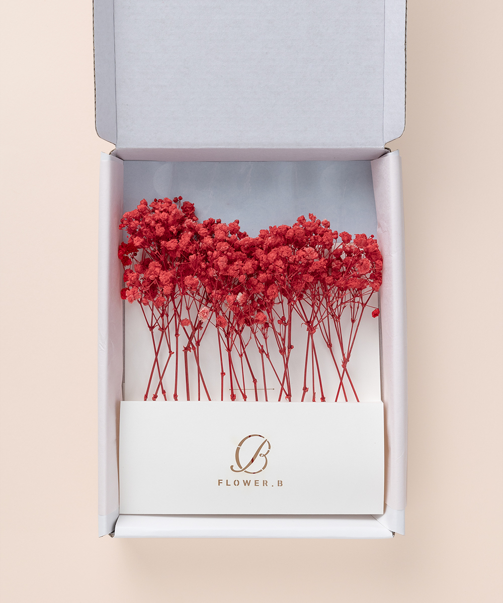 ��������� �ö�� �Ȱ��� ���� - ���ڱ�ī�� ��ǰ ���� BOJAGICARD Product Photo �Ȱ��� ����