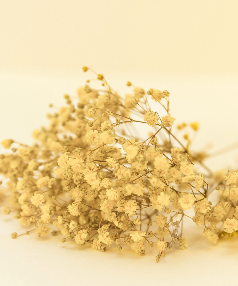 ��������� �ö�� �Ȱ��� ���ο� - ���ڱ�ī�� ��ǰ ���� BOJAGICARD Product Photo �Ȱ��� ���ο�