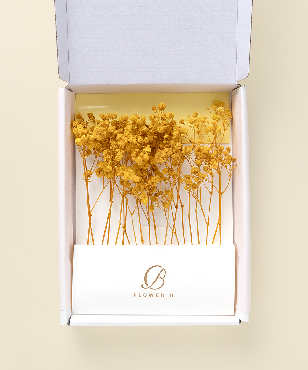 ��������� �ö�� �Ȱ��� ���ο� - ���ڱ�ī�� ��ǰ ���� BOJAGICARD Product Photo �Ȱ��� ���ο�