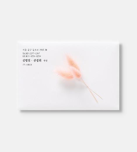 핑크 라그라스 프리저브드 플라워