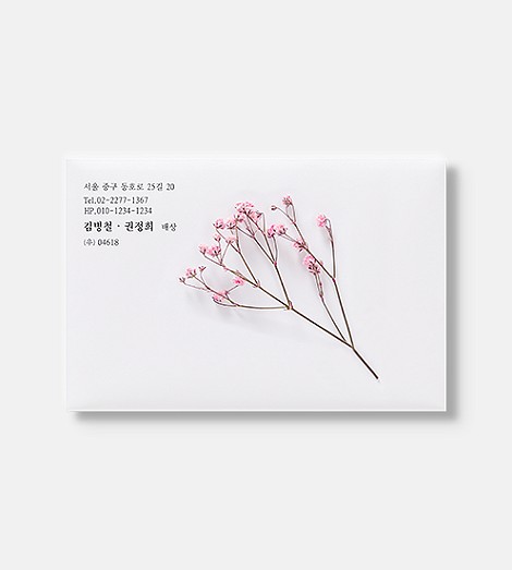 핑크 안개꽃 프리저브드 플라워