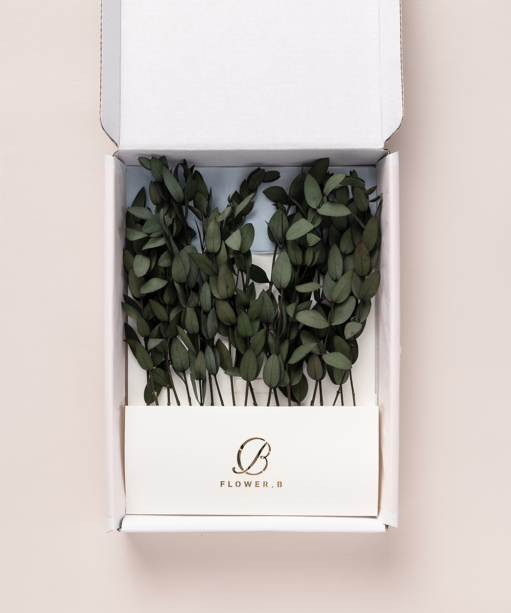 ��������� �ö�� ��Į������ - ���ڱ�ī�� ��ǰ ���� BOJAGICARD Product Photo ��Į������