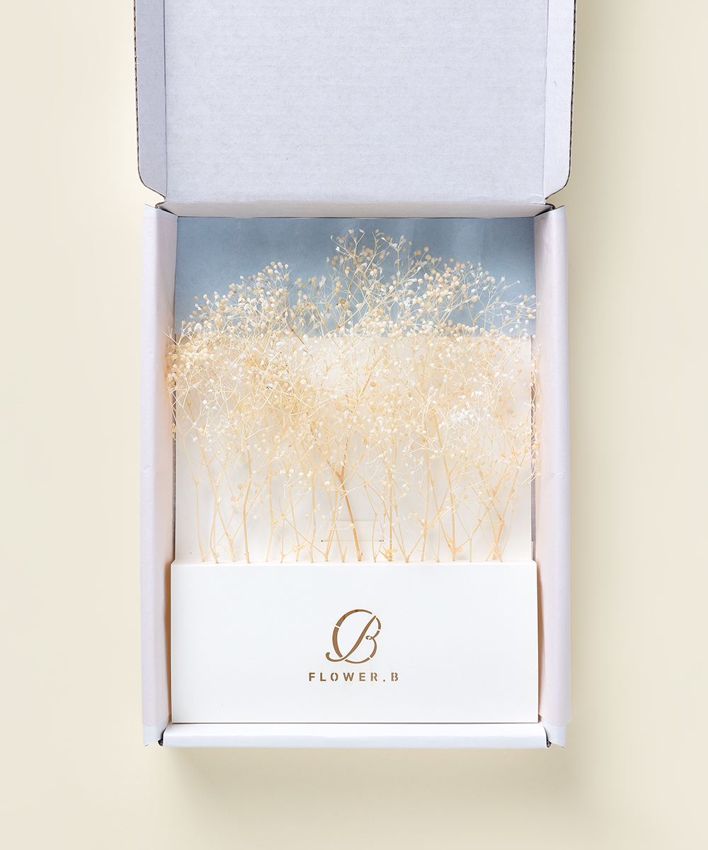 ��������� �ö�� �پȰ� ���̺��� - ���ڱ�ī�� ��ǰ ���� BOJAGICARD Product Photo �پȰ� ���̺���