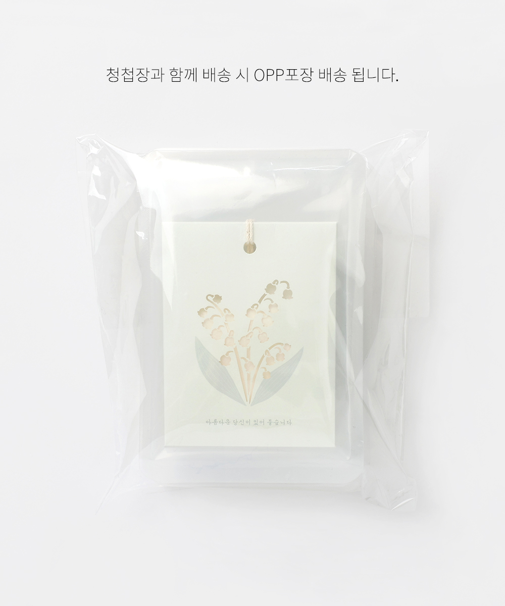 Ͽ  Ͽ  - ڱī ǰ  BOJAGICARD Product Photo Ͽ 